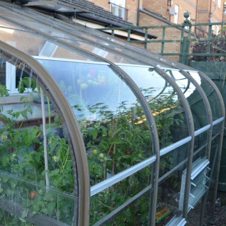 Curved Greenhouse Glass Panels